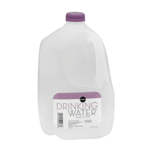 DRINKING WATER 1GAL